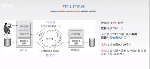计算机网络应用层核心技术 从C/S到P2P，从DNS到HTTP